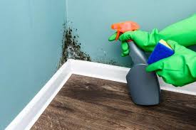 mold and mildew in al property