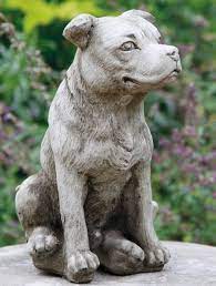 staffordshire bull terrier dog