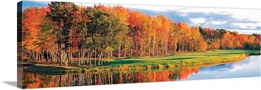 Fall Golf Course New England Canvas