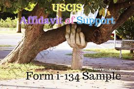 Sample Form I 134 Affidavit Of Support For Us Visa Am22 Tech