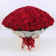 bouquet of 500 red roses exotic