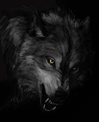 dark wolves wallpapers 4k hd dark