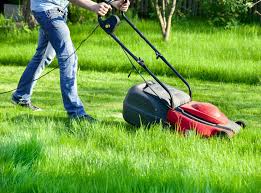 Essential Landscaping Equipment For