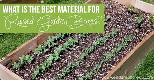 Best Material For Raised Garden Boxes