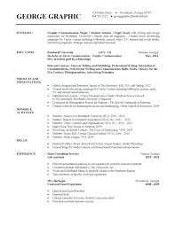Chronological Sample Resume Resume Examples By Professional Resume