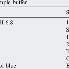 consuents of 5x sle buffer