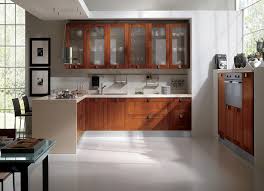 elegant design indian kitchens