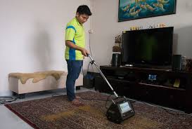 carpet maintenance tips hygieneprof