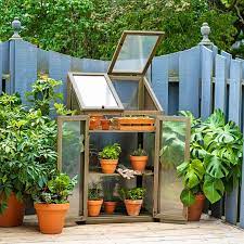 Neo Mini Wooden Greenhouse Cold Frame