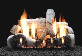 Cozy Up With Vented Gas Log Sets