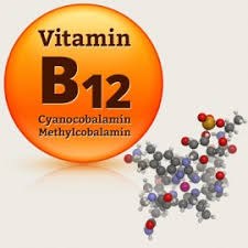 نتيجة بحث الصور عن ‫فوائد فيتامين b12‬‎