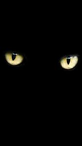 Cat Eye Android Wallpapers - Wallpaper Cave