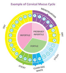 Natural Family Planning Easy Home Fertility