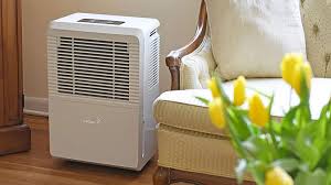 what size dehumidifier do you need a