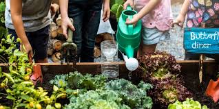 How To Start A Garden With Kids Mps