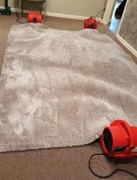 professional rug cleaning in conroe and