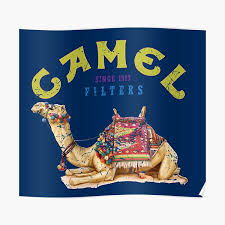 There are 20 in a pack take 3 away and you get 17. Camel Cigarettes Posters Redbubble