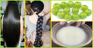 how to use amla for hair growth
