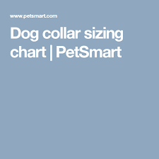 Dog Collar Sizing Chart Petsmart Roe Dogs Chart Size