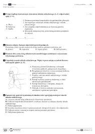 układ oddechowy i wydalniczy - Pobierz pdf z Docer.pl