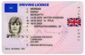 driving licence persofoto biometric