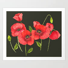 Watercolor Red Poppy Flowers Poppies