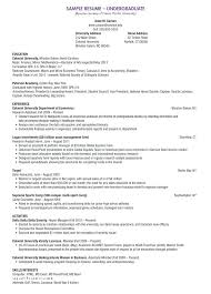 Sample Format Curriculum Vitae Thesis Resume Objective For College