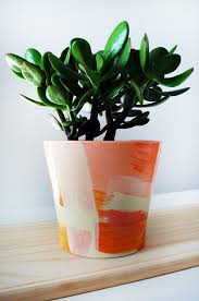 tutorial give your old plant pots a