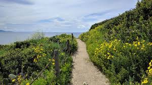 The best feature is, of course, the floor to ceiling views of dazzling blue ocean over grassy fields. Photos Of Rancho Palos Verdes California Views Trails Alltrails