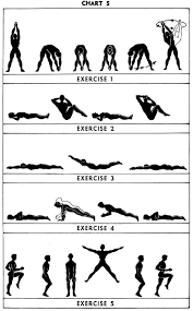 5bx exercises chart 5 endocrine balance
