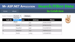 search filter data in gridview asp net