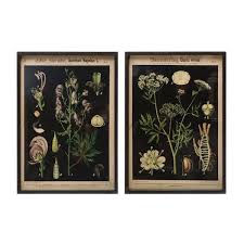 Framed Nature Botanical Wall Art