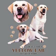 Details About Not Yellow Labrador Retriever Just Dog Size Youth Small 6 X Large T Shirt Size