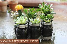 Mason Jar Succulent Planters