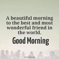 28 amazing good morning friends wishes