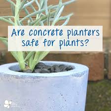 are concrete planters safe for plants