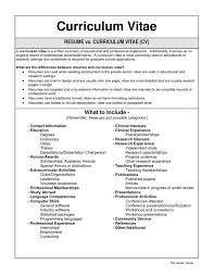 how create resume top tips write your curriculum vitae luckysters    