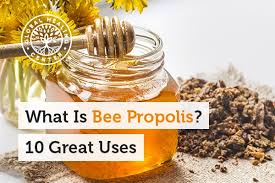 Propolis i̇şçi arıların bitkilerin filiz ve tomurcuklarından topladığı, reçinemsi maddeleri ve bitki salgılarını başlarında bulunan guddeler. What Is Bee Propolis 10 Great Uses