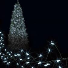 Micro Led Treebright Fairy Lights