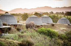 What To Expect On A Garden Route Safari