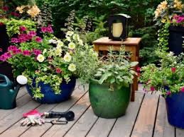 Upper Midwest Container Gardening Guide