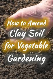 Amend Clay Soil For Vegetable Gardening