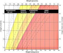 How Is Obesity Measured Obesityhelp