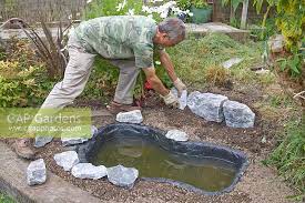 Garden Pond Project Stock Photo By