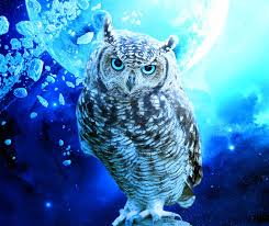 If you like owl background, you might love these ideas. Cool Owl Wallpapers Top Free Cool Owl Backgrounds Wallpaperaccess