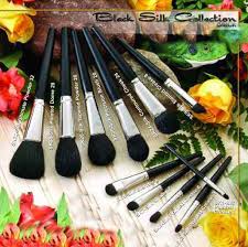 select brushes black silk goat