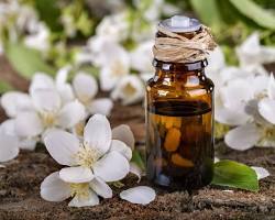 Image of Jasmine essential oil