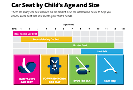 car seat safety stone county health