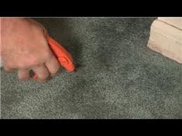 remove dry blood stains in carpet