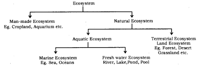 Our Environment Class 10 Notes Science Chapter 15 Learn Cbse